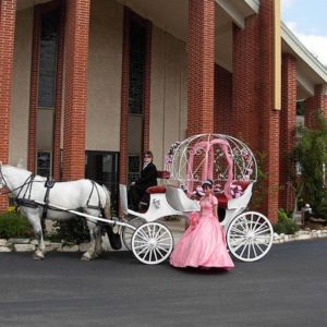 Carriage Rides