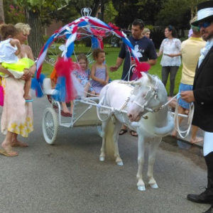 Pony Carriage Rides