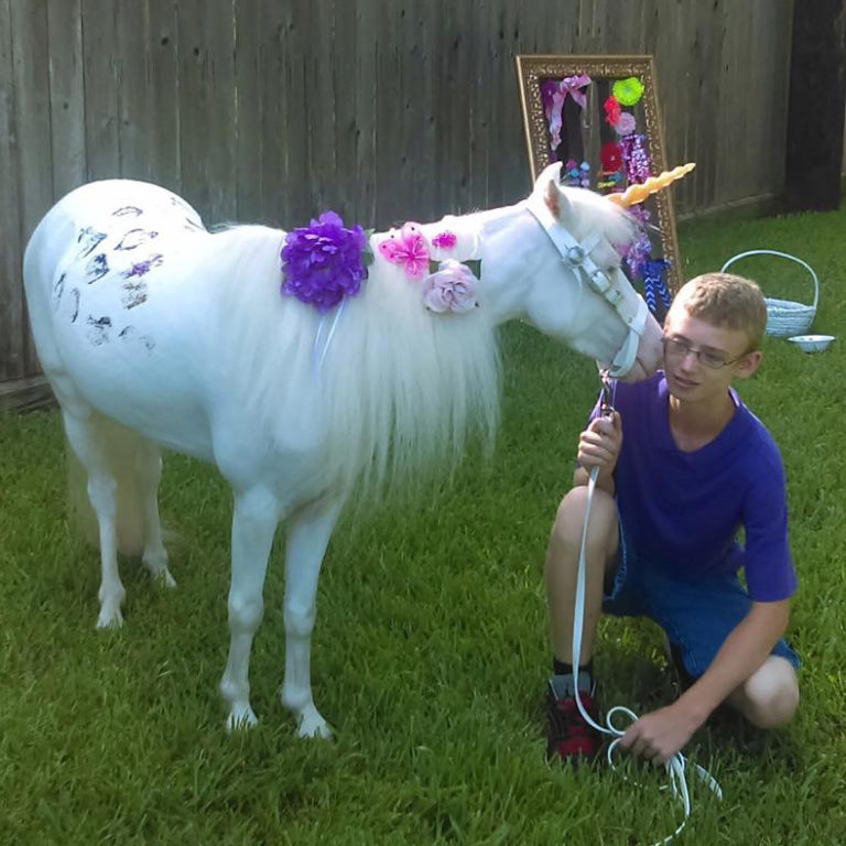 Unicorn rides