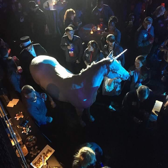 Full Sized Unicorns