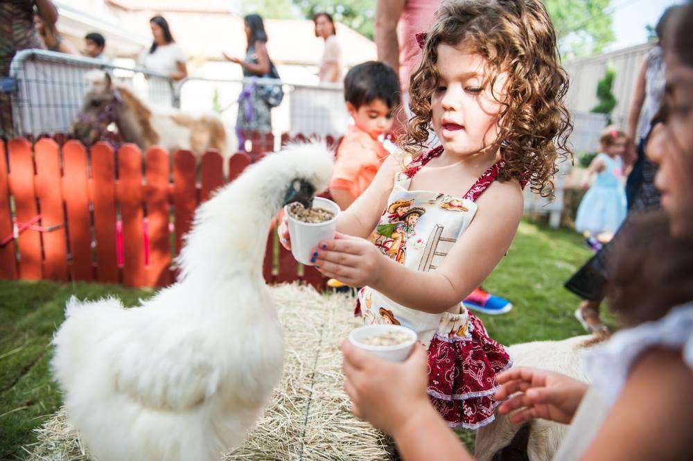 Petting Zoos