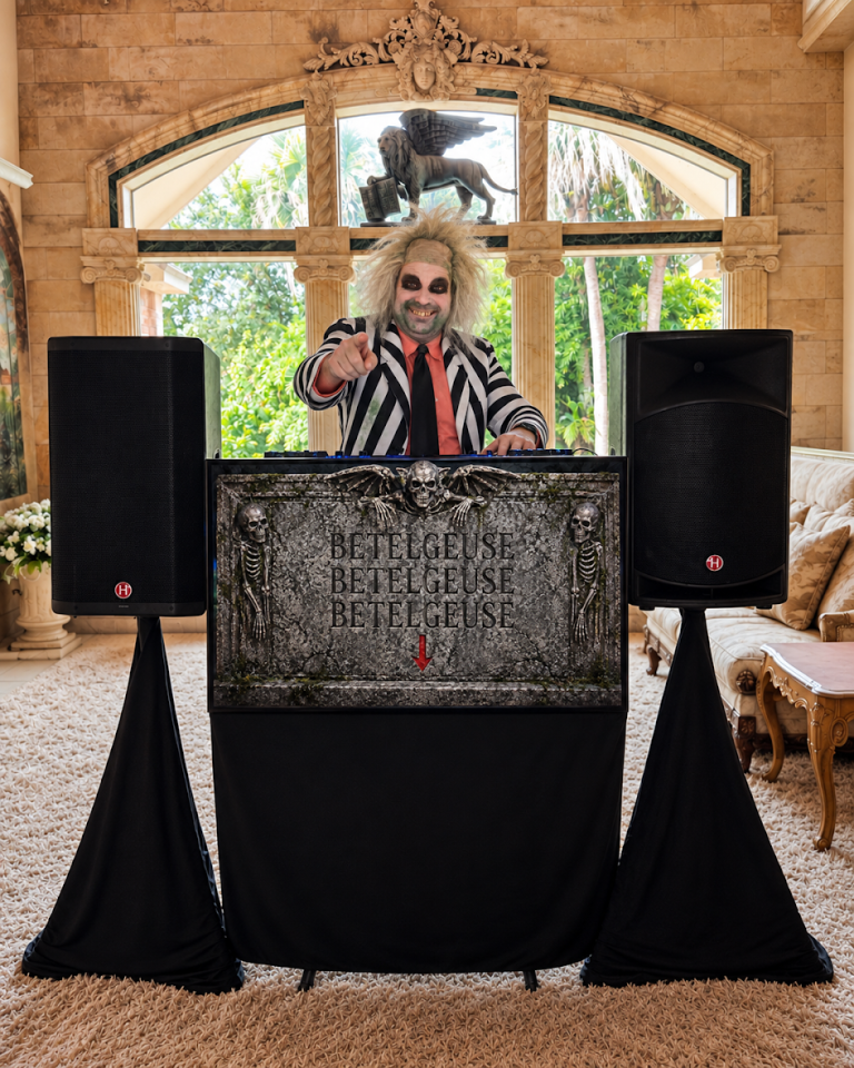 Themed and Costumed DJs